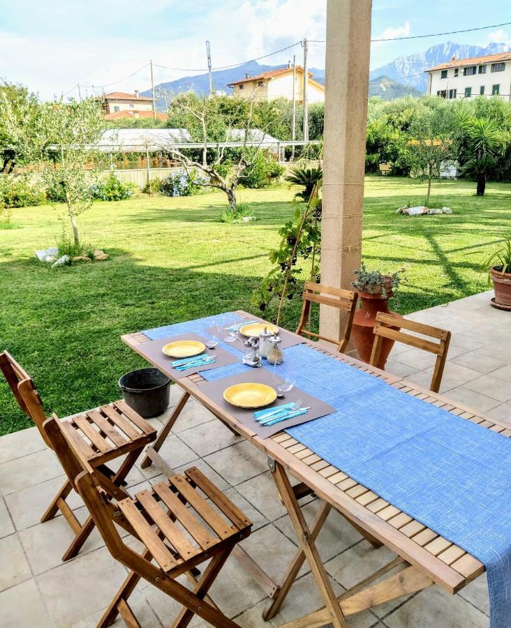 Agriturismo La Vite Maritata Pietrasanta Ngoại thất bức ảnh