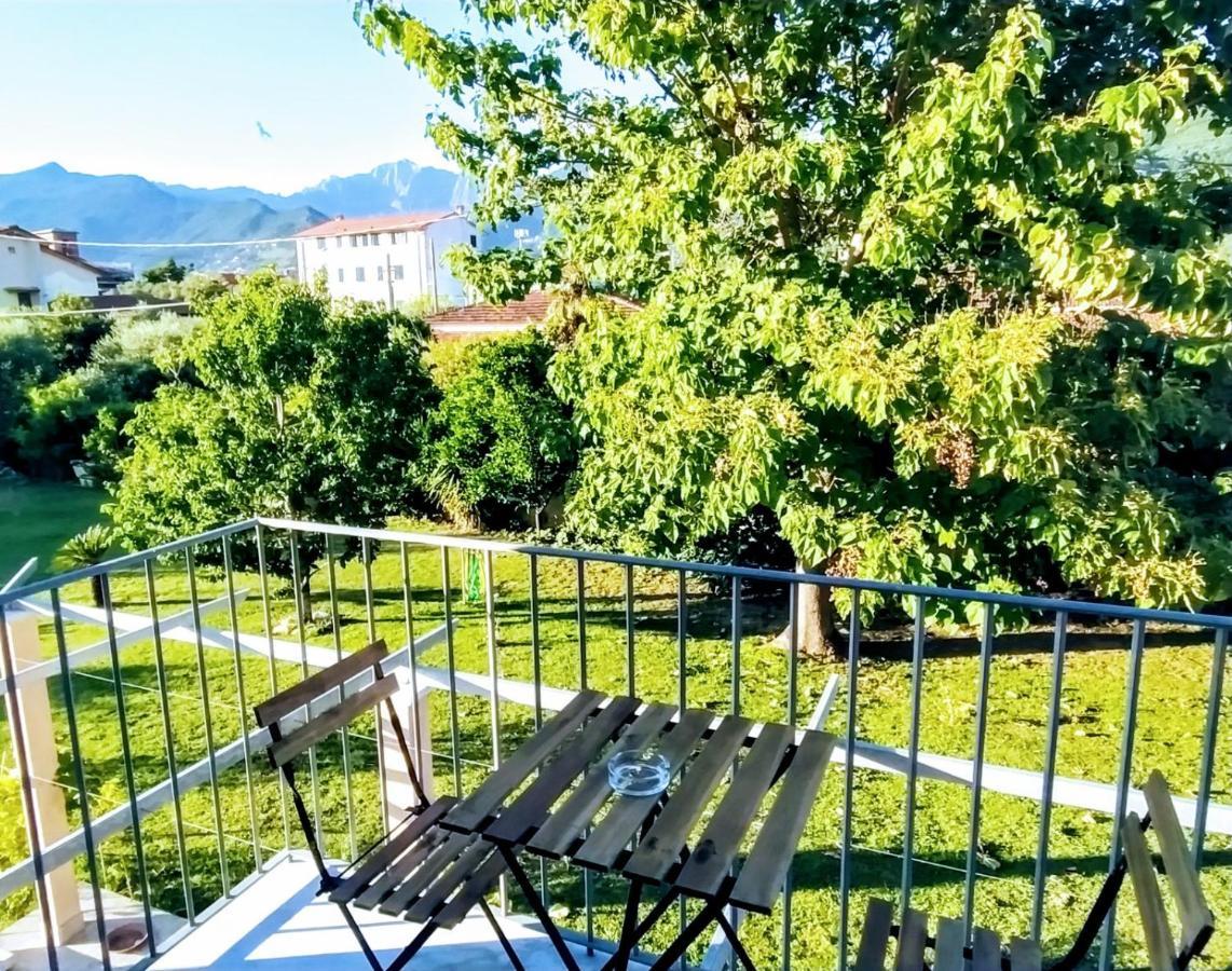 Agriturismo La Vite Maritata Pietrasanta Ngoại thất bức ảnh